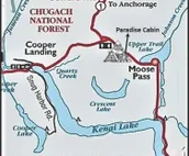 Upper Paradise Log Cabin - Nightly Rental in the Woods
