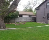 YELLOWSTONE HOUSE OF THE 3 BEARS,  2 Blocks to Downtown, Book Same Day