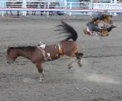 YELLOWSTONE HOUSE OF THE 3 BEARS,  2 Blocks to Downtown, Book Same Day