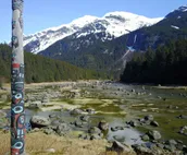 Chilkoot Haven Haines room #2, right on the Chilkoot River, Bear viewing