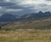 WindRiver/ Yellowstone Cabin
