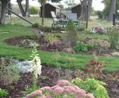 Crazy Woman Cottage #1