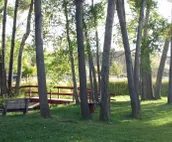 Crazy Woman Cottage #1