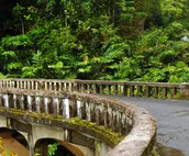 West Maui Welcomes You Back October KA 211 Relaxing Oceanfront Condo w Pool AC