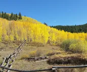 Alpine Vista Lodge: Sweeping Mountain Views; 4 King Masters + bunk; Hot Tub