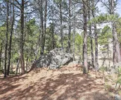 Private Black Hills Home w/ Corral; Horses Welcome