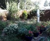 Beautiful Vintage Home - Short Walk to Purdue!