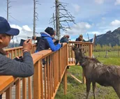 Alyeska Hideaway Log Cabins - Glacier Cabin
