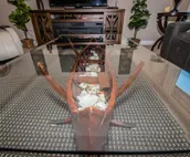 Clean, Quiet And Professionally Decorated. Close To All Amenities.