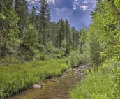 Historic Keystone Cabin Near Mount Rushmore!