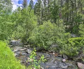 Historic Keystone Cabin Near Mount Rushmore!
