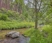Historic Keystone Cabin Near Mount Rushmore!