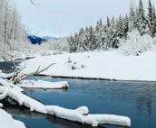 Cabin w/ private hot tub, gourmet kitchen, handcrafted wood details, near skiing
