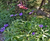 Studio with private hot tub, WiFI, & tranquil glacier views