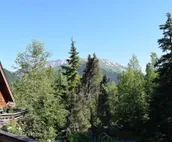 Studio with private hot tub, WiFI, & tranquil glacier views