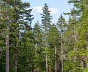Studio with private hot tub, WiFI, & tranquil glacier views