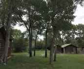 Newly Remodeled Historic Log Cabin on Banks of Horse Creek