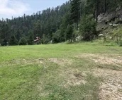 Keystone Crossing Surrounded by Forest