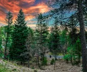 Heavenly Pines | Private Hot Tub, Gas Fireplace