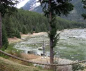 Chilkoot Haven in Haines, room #1, right on the Chilkoot River, Bear viewing