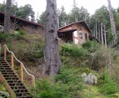 Chilkoot Haven in Haines, room #1, right on the Chilkoot River, Bear viewing