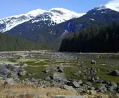Chilkoot Haven in Haines, room #1, right on the Chilkoot River, Bear viewing