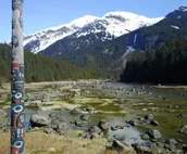Chilkoot Haven in Haines, room #1, right on the Chilkoot River, Bear viewing
