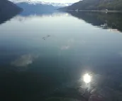Chilkoot Haven in Haines, room #1, right on the Chilkoot River, Bear viewing