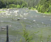 Chilkoot Haven in Haines, room #1, right on the Chilkoot River, Bear viewing