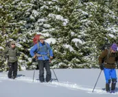 MI Wilderness Retreat & Cross-Country Ski Center!