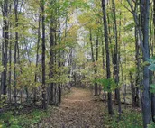 MI Wilderness Retreat & Cross-Country Ski Center!