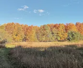MI Wilderness Retreat & Cross-Country Ski Center!