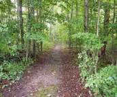 MI Wilderness Retreat & Cross-Country Ski Center!