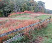 MI Wilderness Retreat & Cross-Country Ski Center!