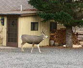 Riverside Cowboy Cabin