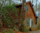 A Winter Garden - Romantic couple`s close to Unicoi State Park & 10 minutes to