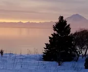 #"Eagles Nest" - Vacation Cabin, Kasilof Alaska - Sleeps 8