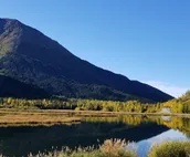 #"Eagles Nest" - Vacation Cabin, Kasilof Alaska - Sleeps 8