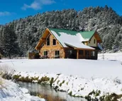 Tranquil Creekside Cottage in the Heart of the Beautiful Black Hills