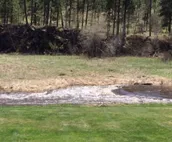 Tranquil Creekside Cottage in the Heart of the Beautiful Black Hills