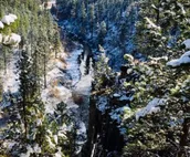 Tranquil Creekside Cottage in the Heart of the Beautiful Black Hills
