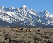 Your Ideal Teton Village Accommodation for Families