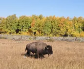 Your Ideal Teton Village Accommodation for Families
