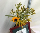 Tentrr Signature Site - Fireflies and a Love Story - Coleman Outfitted Site