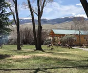 Cabin on the Wind river - now booking for spring & summer