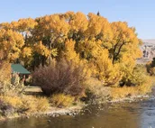 Cabin on the Wind river - now booking for spring & summer