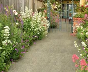 Rose Court Cottage Garden Studio Near C.P.H. & Arcata Plaza