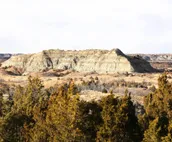 'Roosevelt Suite' < 1 Mi to Teddy Roosevelt Park!