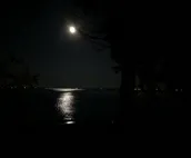 Beach Front Cabin Get Away