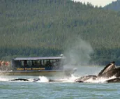 Granite Getaway - Quiet, Comfortable Place Offering 10% OFF ON TOURS!